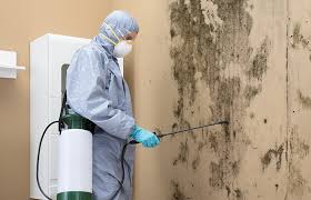 Best Dehumidification Services  in Plandome, NY